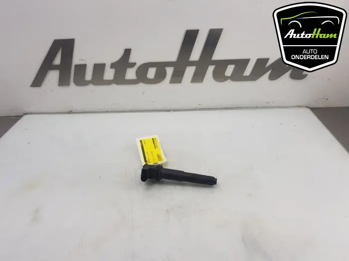 Pen Bobine Porsche Cayenne