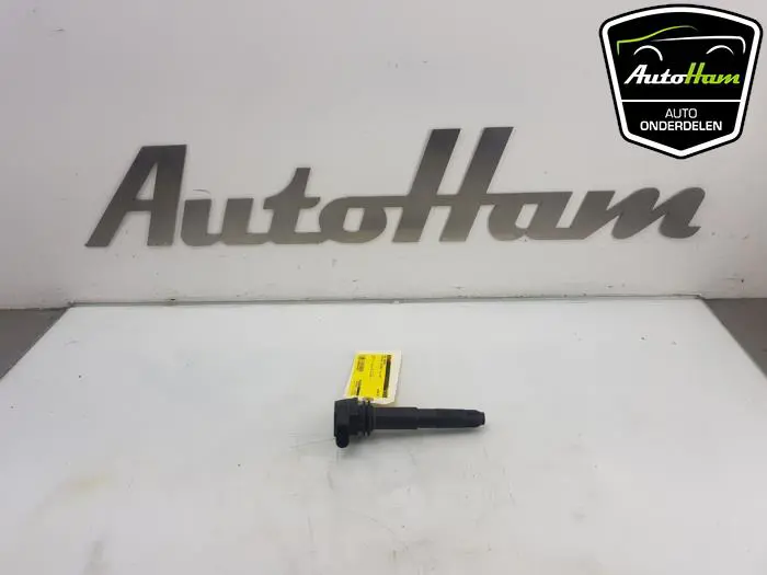 Pen Bobine Porsche Cayenne