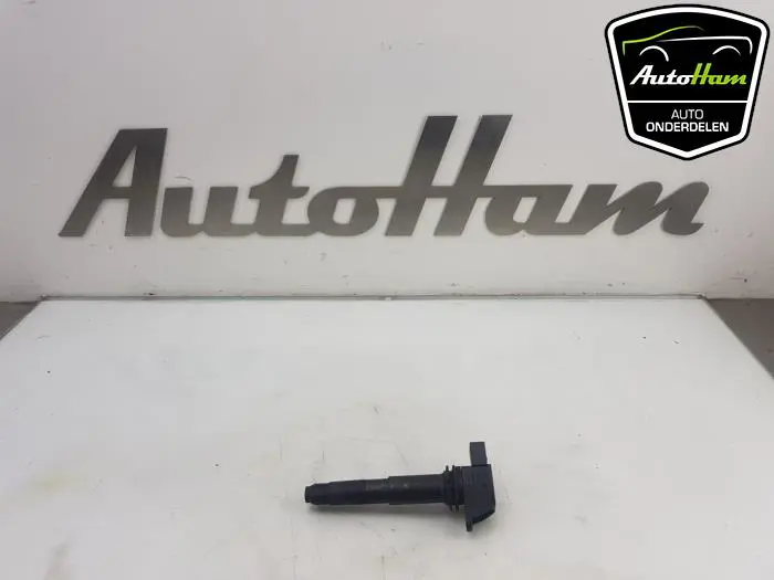 Pen Bobine Porsche Cayenne