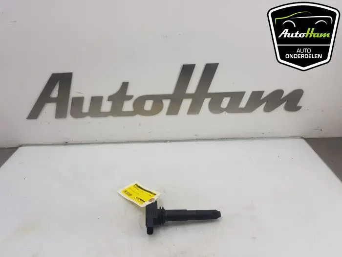 Pen Bobine Porsche Cayenne