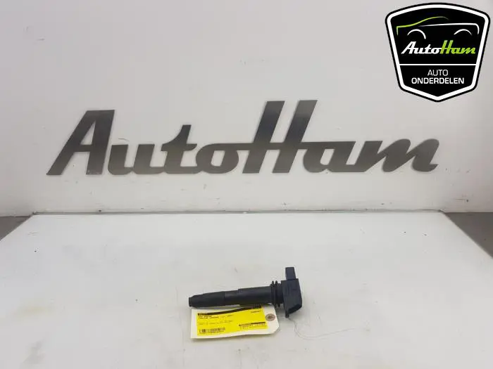 Pen Bobine Porsche Cayenne