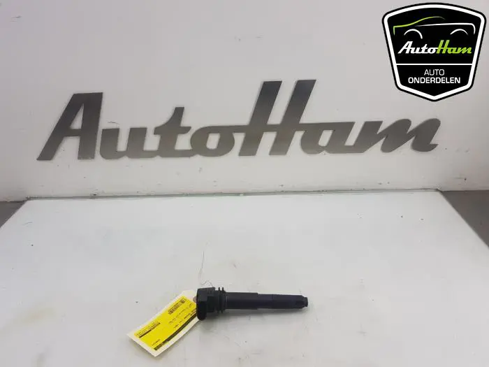 Pen Bobine Porsche Cayenne