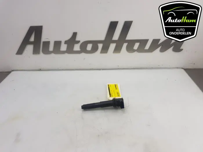 Pen Bobine Porsche Cayenne
