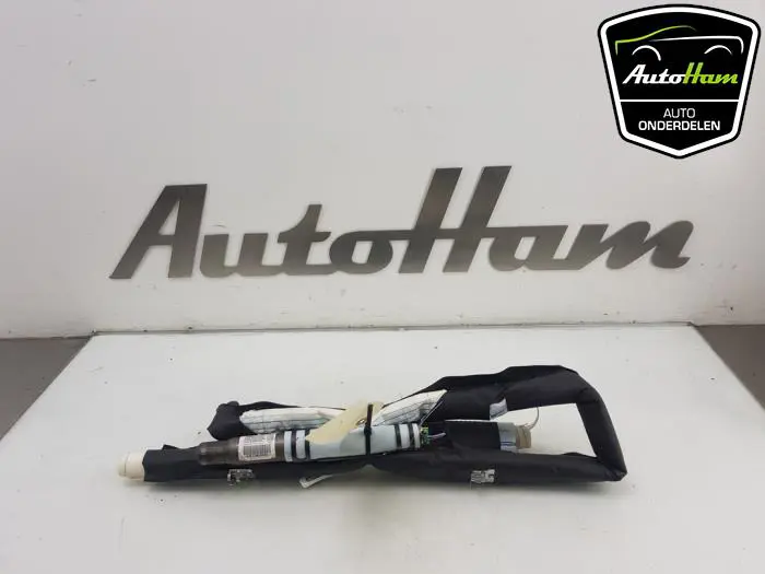 Airbag hemel links Renault Grand Scenic