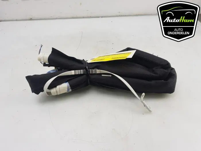 Airbag hemel rechts Renault Grand Scenic