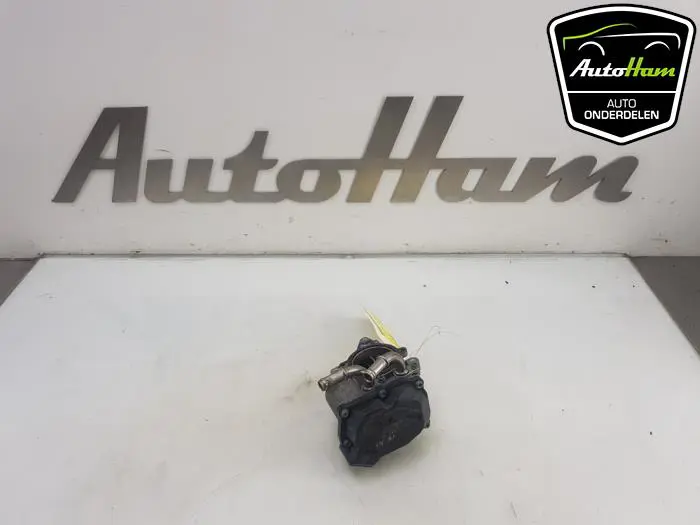 Gasklephuis Volkswagen Golf