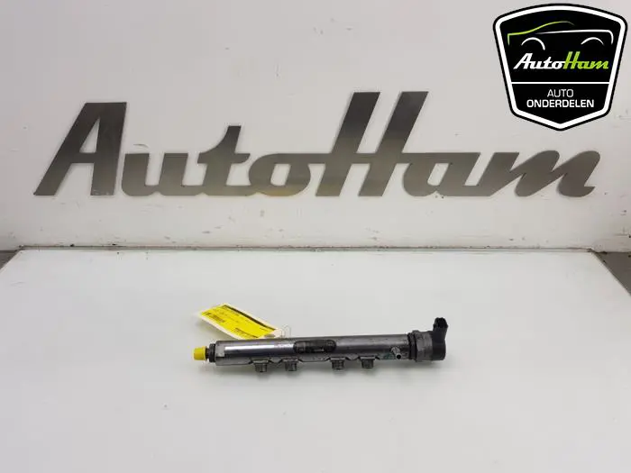 Galerij (Injectie) Landrover Discovery