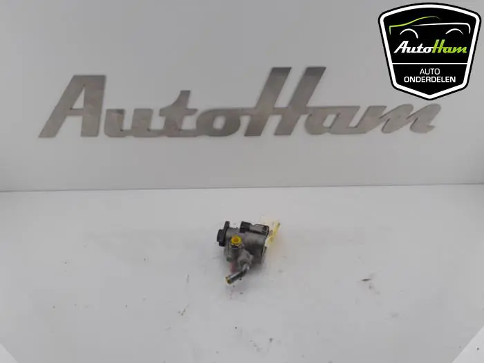 Stuurbekrachtiging Pomp Fiat Doblo
