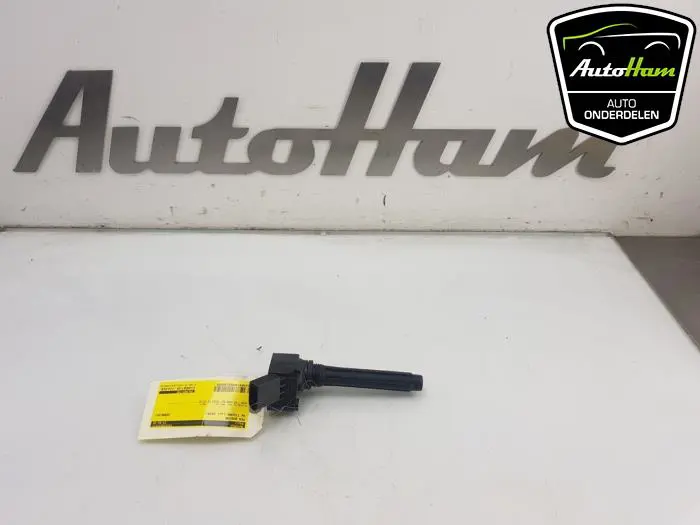 Pen Bobine Volkswagen Tiguan