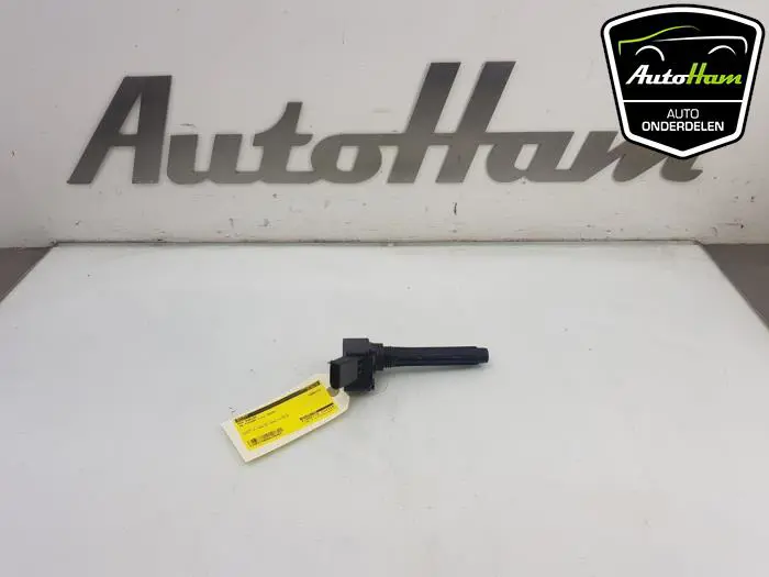 Pen Bobine Volkswagen Tiguan