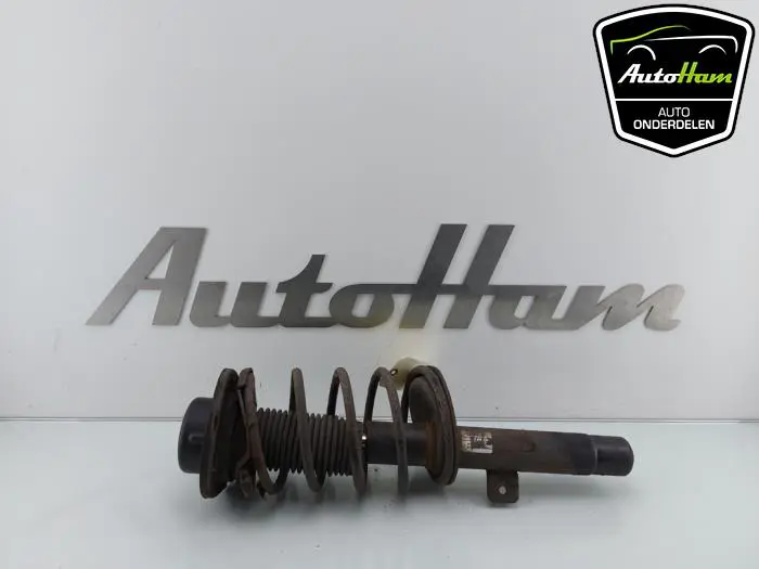 Schokdemper links-voor Peugeot 206