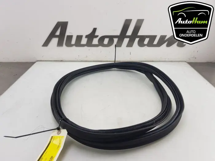 Achterkleprubber Renault Captur