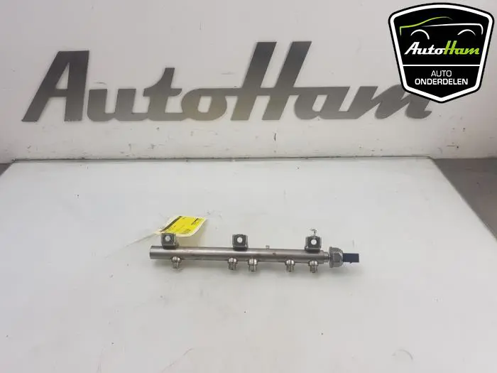 Galerij (Injectie) BMW 3-Serie