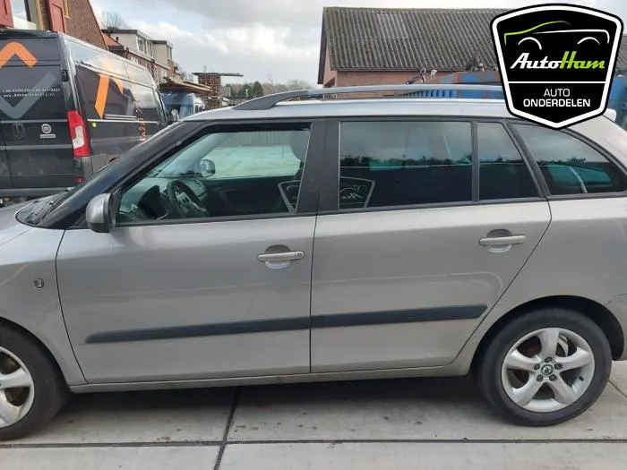 Portier 4Deurs links-achter Skoda Fabia