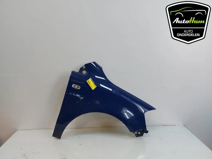 Scherm rechts-voor Volkswagen Fox