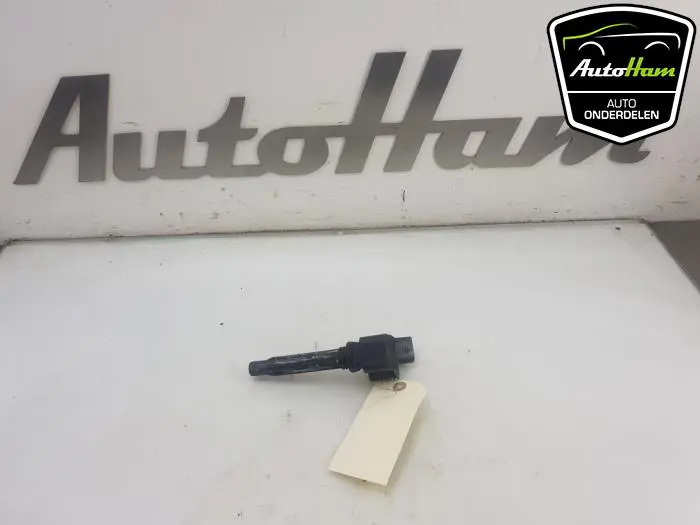 Pen Bobine Volkswagen Golf