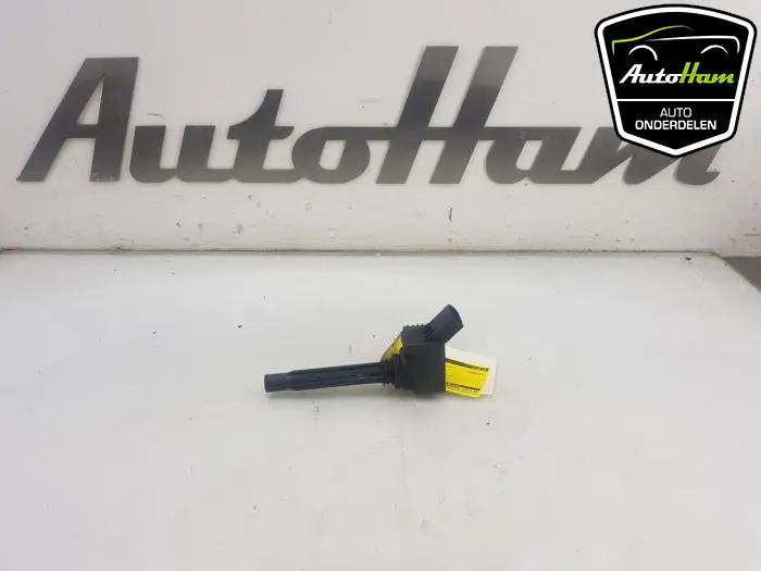 Pen Bobine Volkswagen Golf