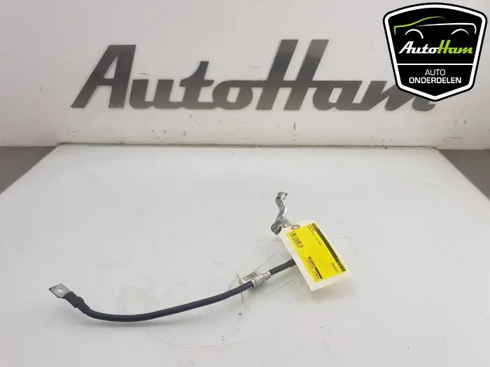 Accupool Skoda Citigo