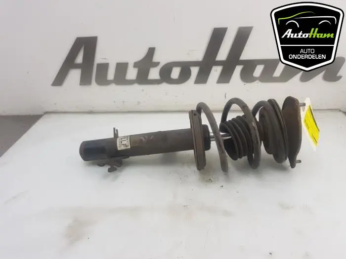 Schokdemper links-voor Rover Mini