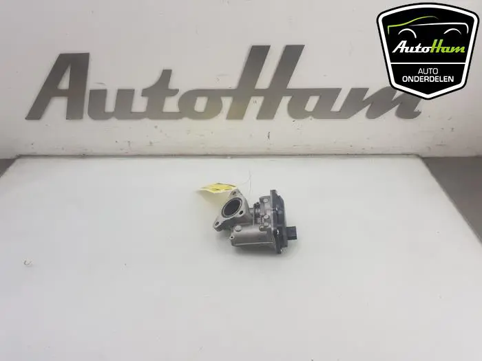EGR Klep Renault Clio