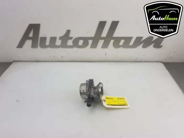 Vacuumpomp (Diesel) Renault Clio