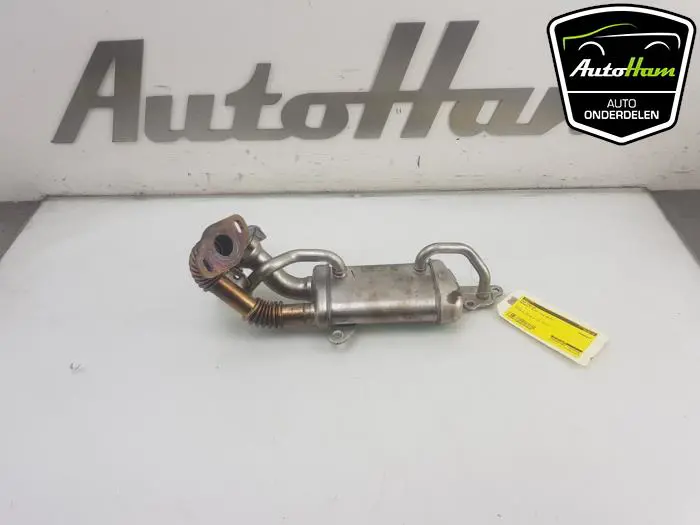 EGR koeler Renault Clio