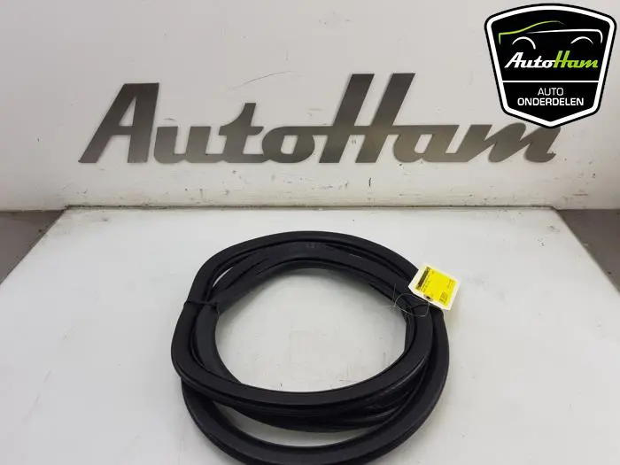 Portierrubber 4Deurs rechts-achter Peugeot 2008