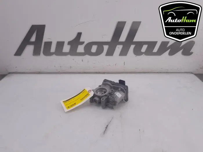 Gasklephuis Renault Clio