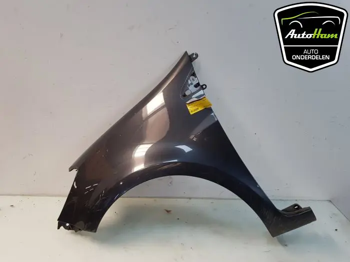 Scherm links-voor Renault Clio