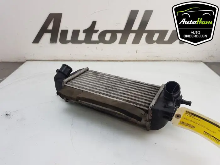Intercooler Fiat 500