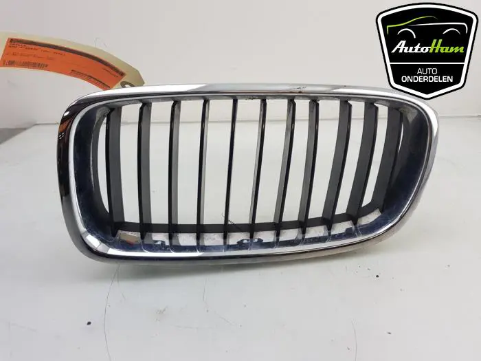 Grille BMW 3-Serie