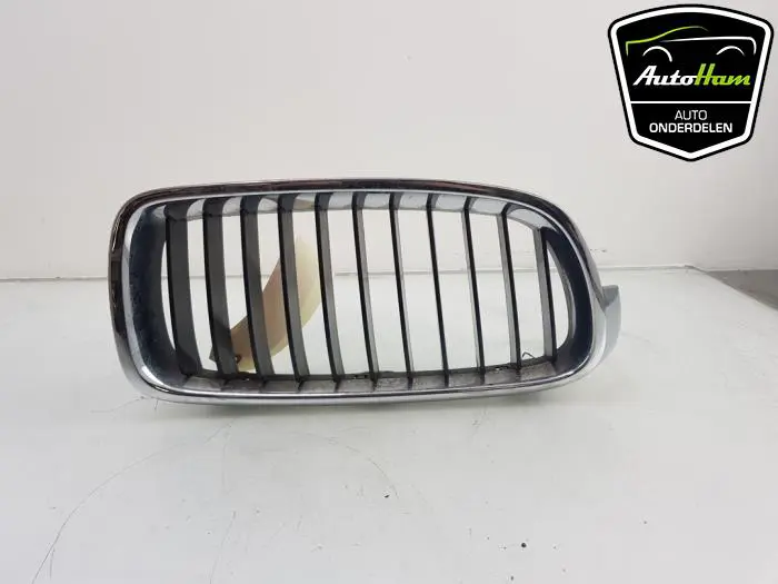 Grille BMW 3-Serie