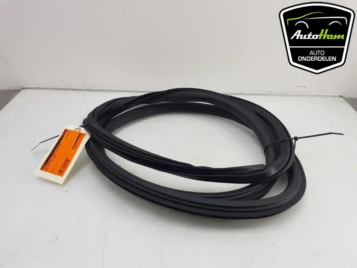 Portierrubber 4Deurs links-voor Audi Q5
