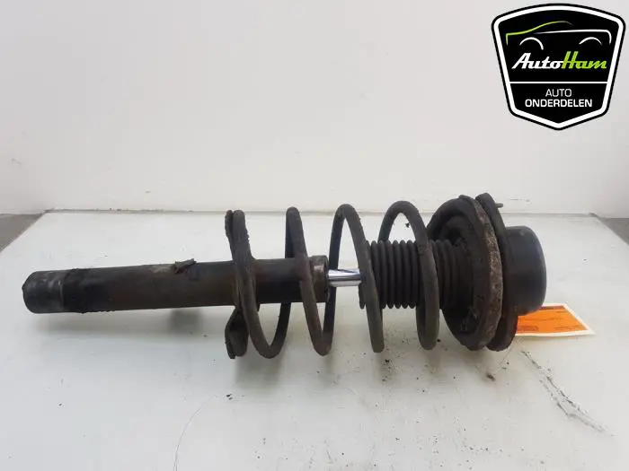 Schokdemper links-voor Peugeot 206