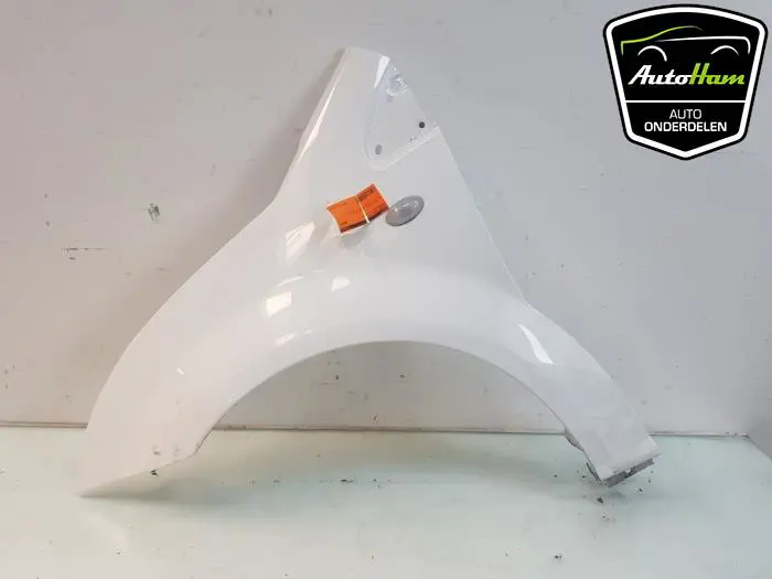 Scherm links-voor Citroen C2
