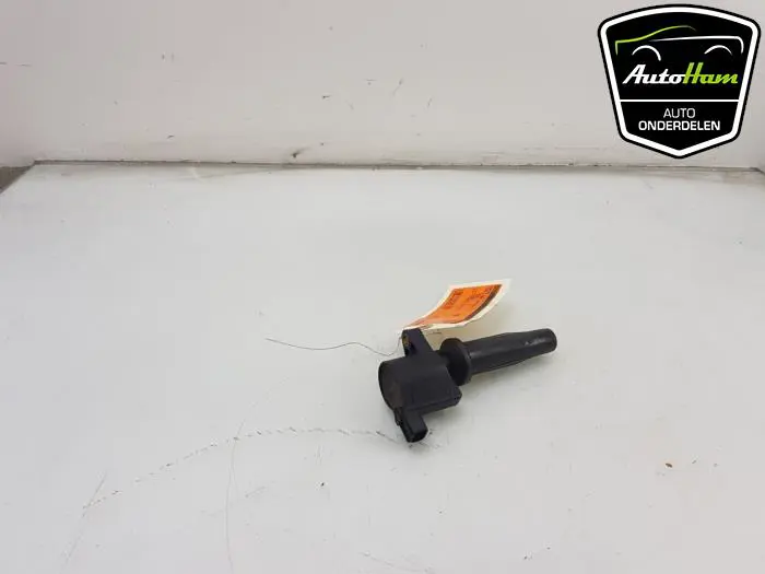Bobine Ford S-Max