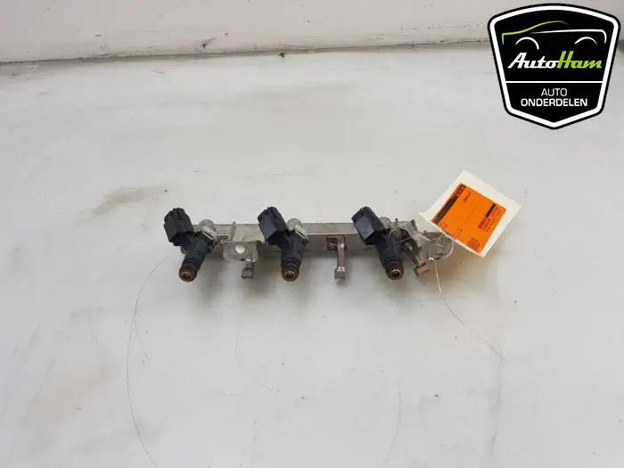 Galerij (Injectie) Peugeot 208