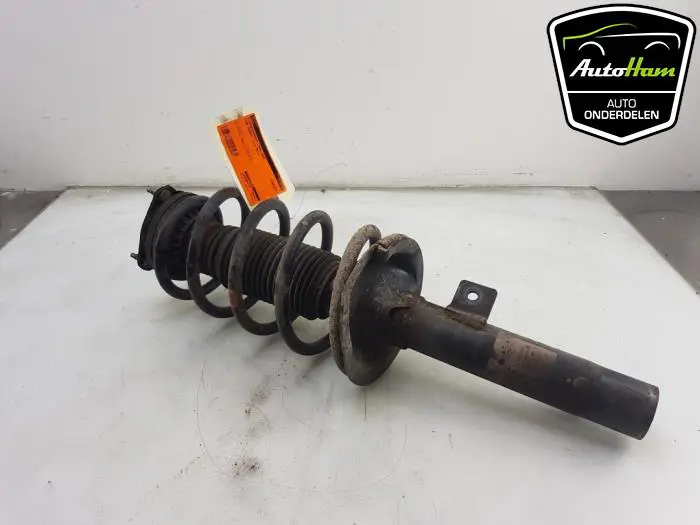 Schokdemper links-voor Ford Transit Connect