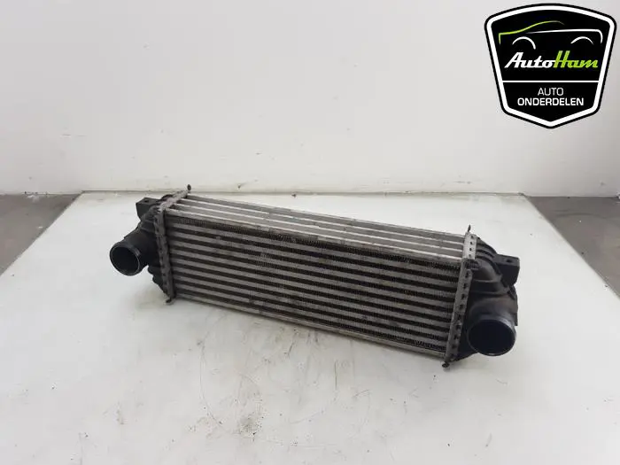 Intercooler Ford Connect