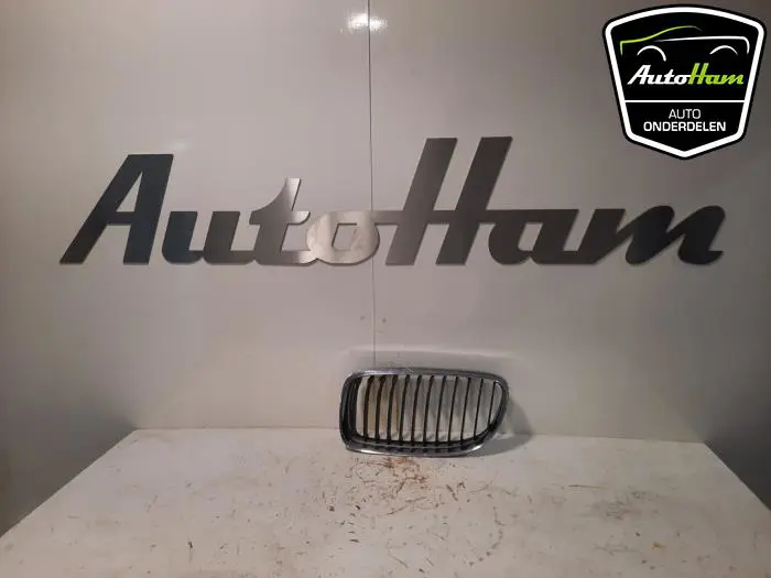 Grille BMW 3-Serie