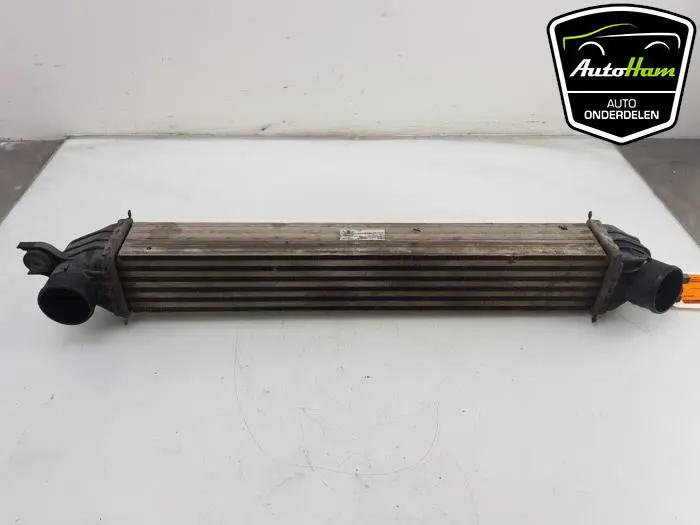 Intercooler Mini Cooper