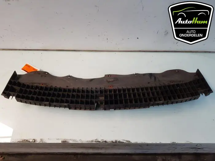 Bumperframe voor Citroen C1