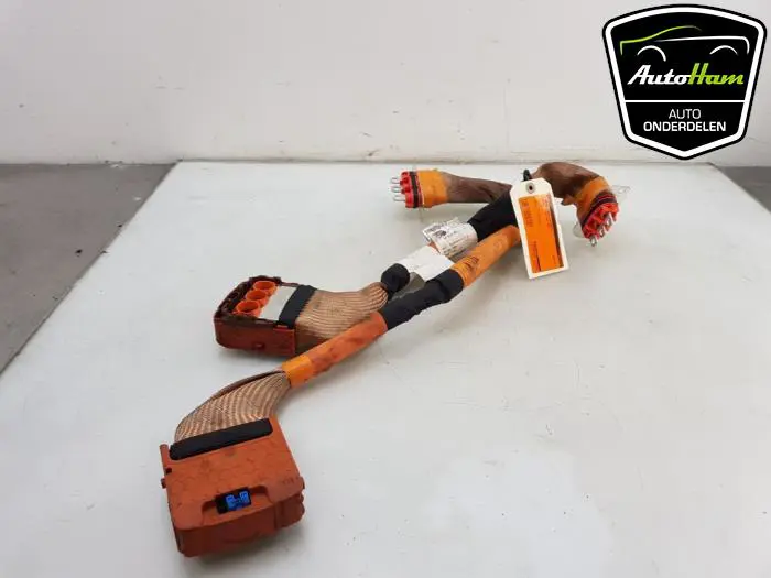 HV kabel (hoog voltage) Renault Clio