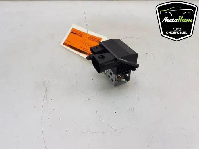 Koelvinweerstand Renault Clio