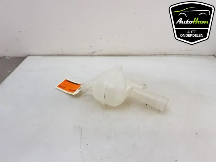 Expansievat Renault Clio