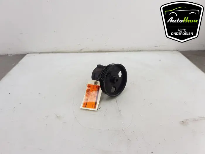 Stuurbekrachtiging Pomp Renault Kangoo