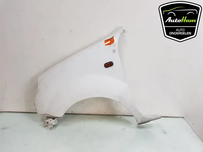 Scherm links-voor Renault Kangoo