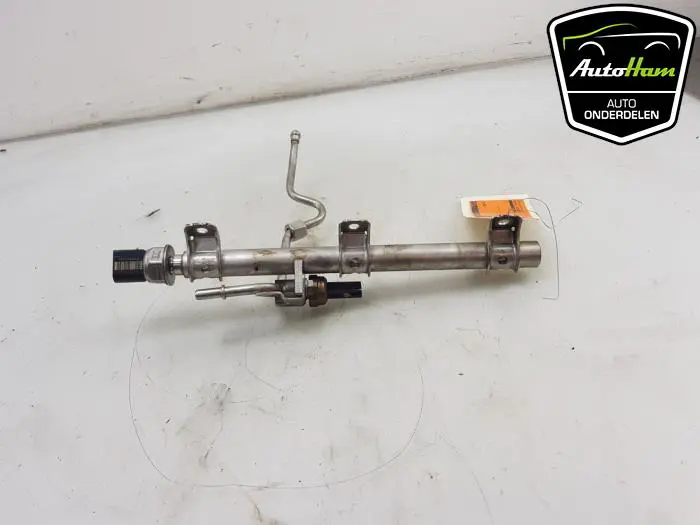Galerij (Injectie) BMW 3-Serie