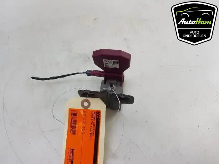 Antenne (diversen) Cupra Leon