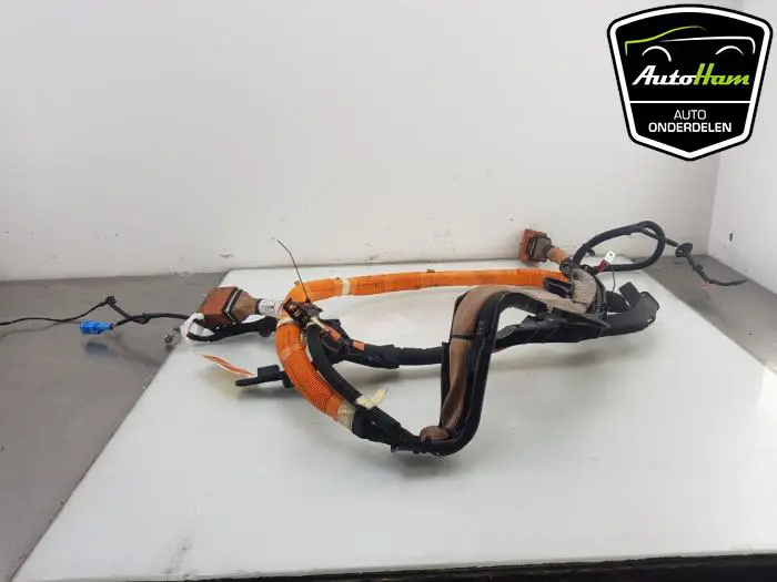 HV kabel (hoog voltage) Renault Clio